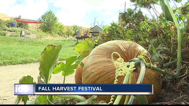 Fall Harvest Festival at the Idaho Botanical Garden