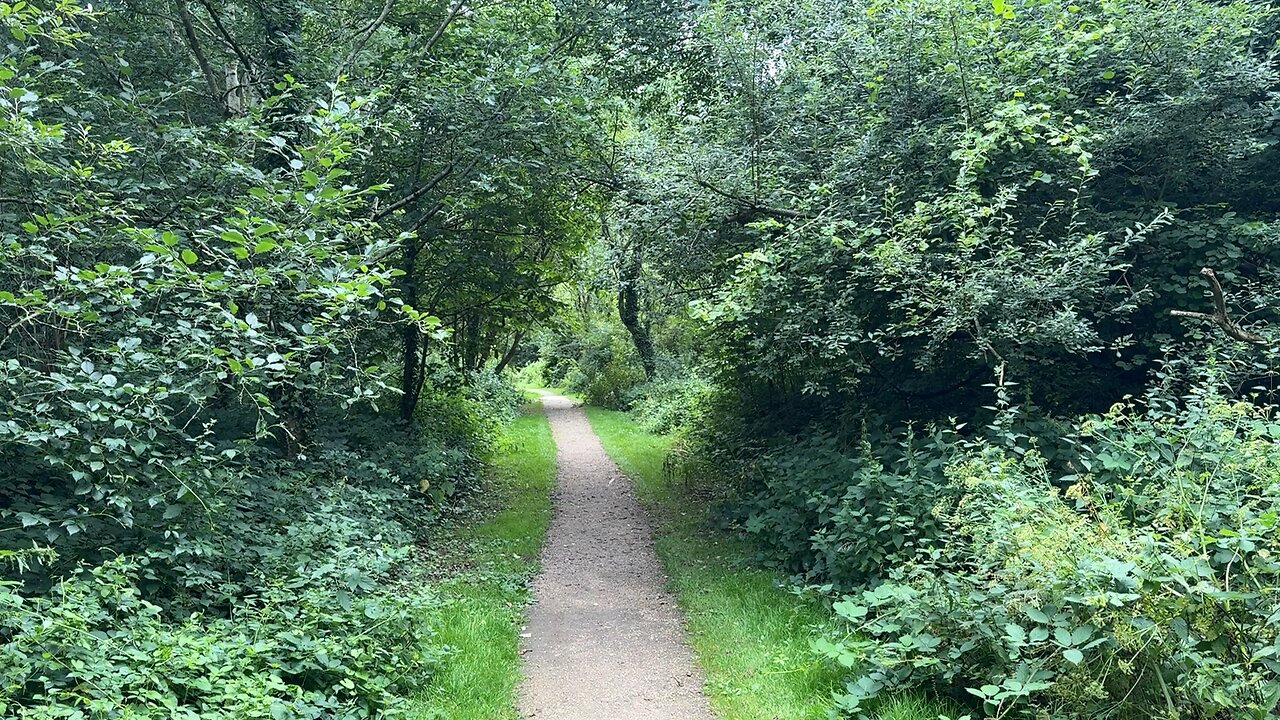 Long Copse Chase Sky