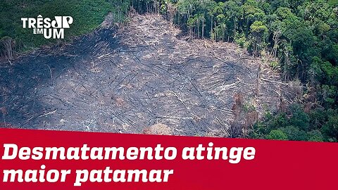 Desmatamento da Amazônia cresce 29,5% e atinge maior nível em 10 anos