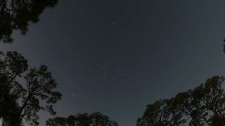 Star time-lapse until dawn on Bottoms Road - Panacea Florida