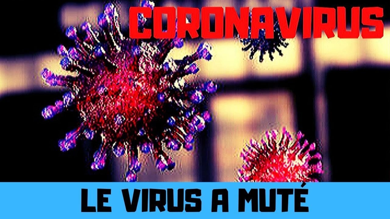 Pandémie de coronavirus : le virus a muté