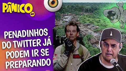 ELON MUSK VAI APRIMORAR TÉCNICAS DE CAÇAR FANTASMAS NA AMAZÔNIA COM BOLSONARO GORDÃO?