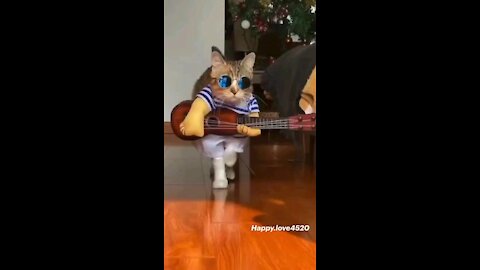 OMG So Cute Cats Best Funny Cat Videos 2021 #2 Agilely animals #Agilely