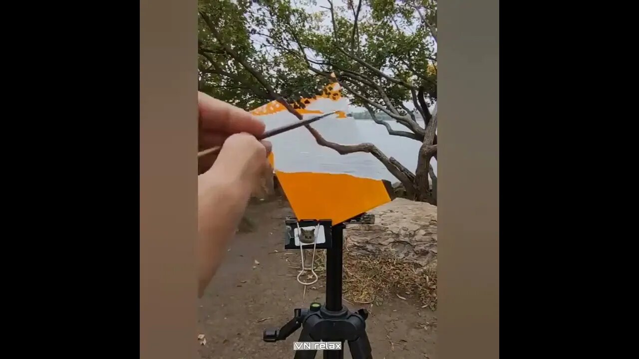 Best Oddly Satisfying Video