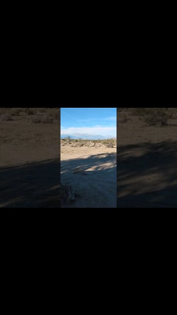 Albatross... Poem by Robert Keith