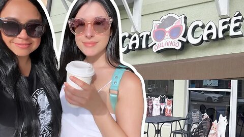 We Went to a CAT CAFE in Orlando!