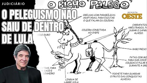 O PELEGUISMO NÃO SAIU DE DENTRO DE LULA
