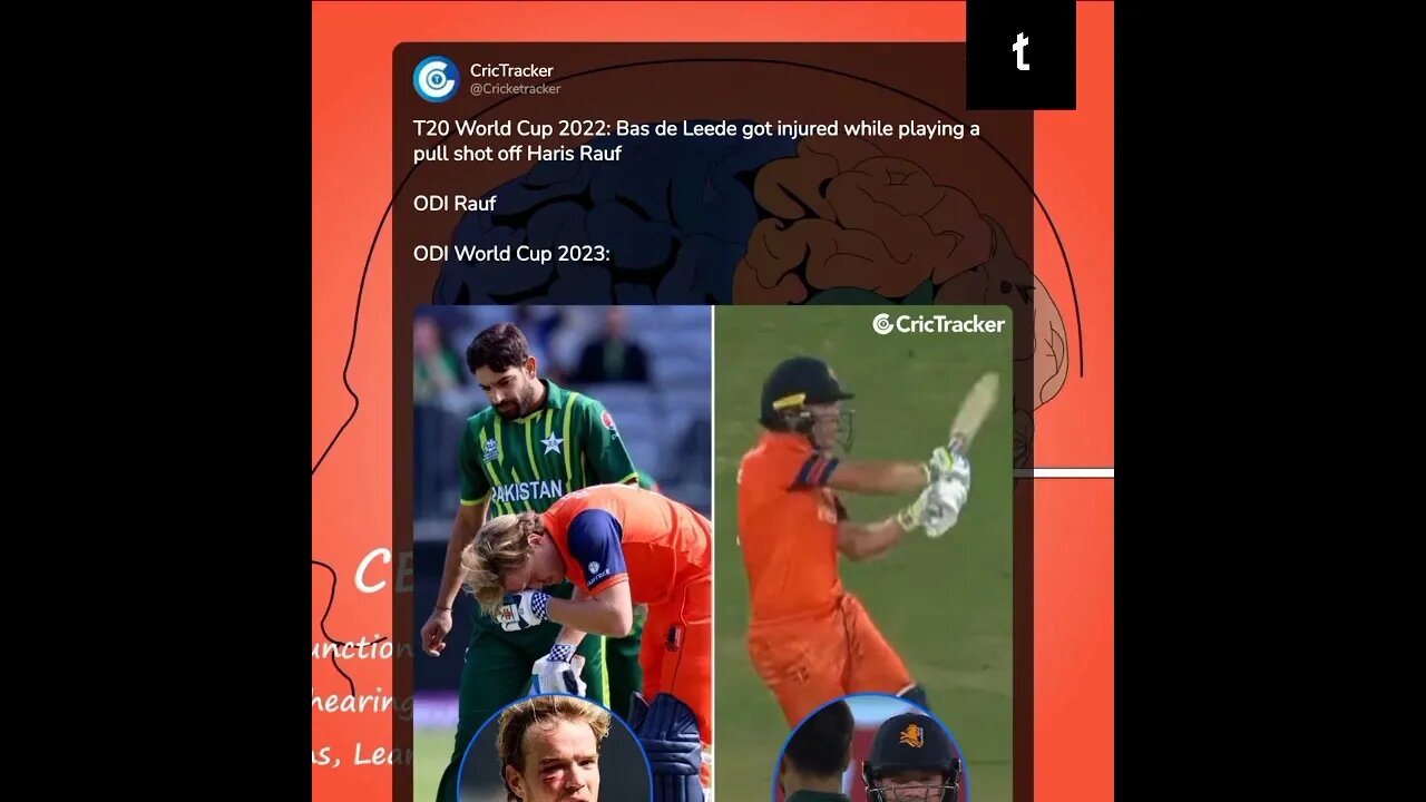 Bas de Leede was hurt while playing a pull shot off Haris Rauf at the T20 World Cup 2022.