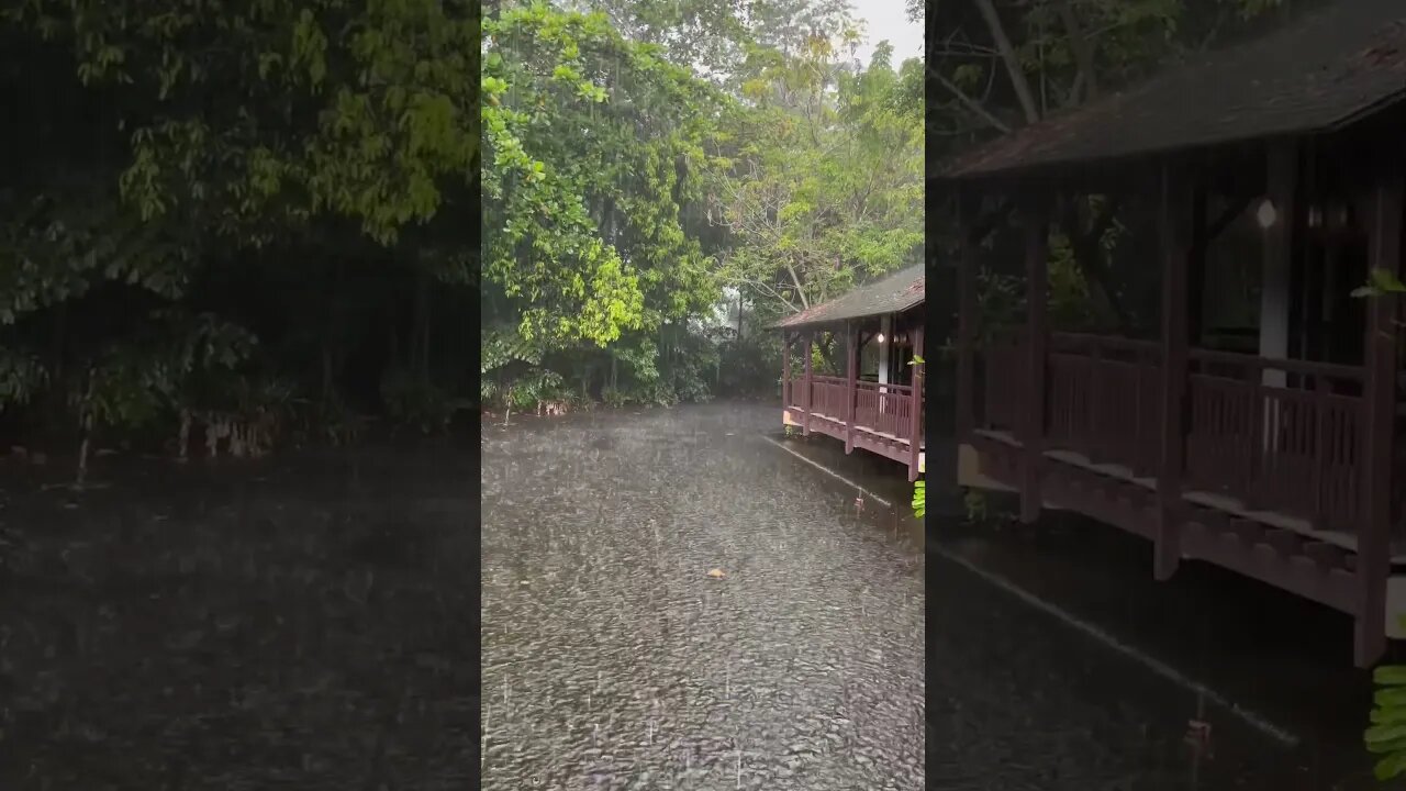 听着雨声，进入深度睡眠：让身体和心灵都得到休息，减轻压力治愈失眠#rain #rainsounds #sleep #sleepmusic