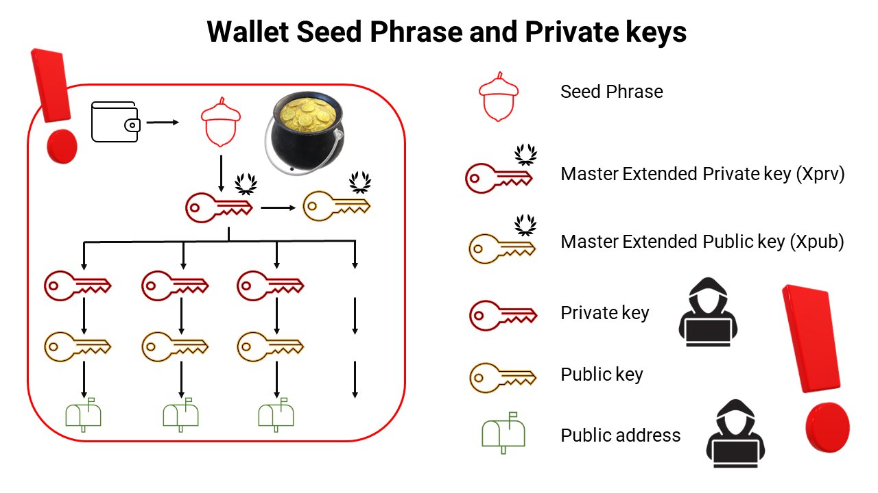 Protecting Your Crypto Assets: Why Seed Phrases and Private Keys Are Vital