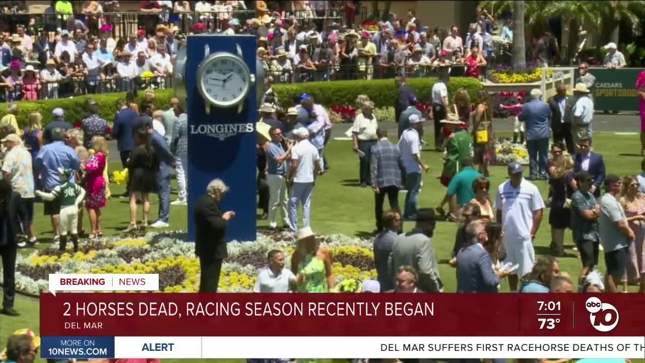 2 horses die at Del Mar Racetrack, first deaths of summer racing season