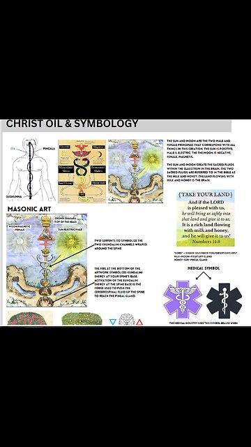 How The Cabal Keep Us Trapped In Lower Energy States Using GMO Food As Unconventional Warfare.