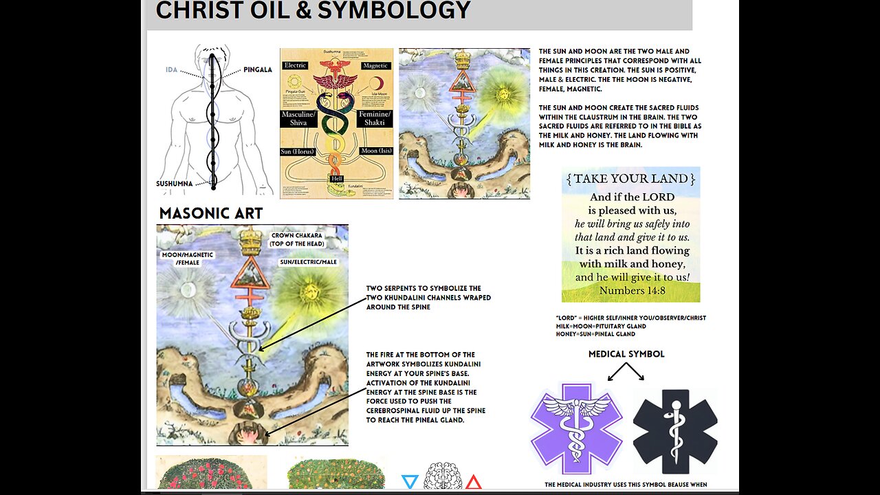 How The Cabal Keep Us Trapped In Lower Energy States Using GMO Food As Unconventional Warfare.