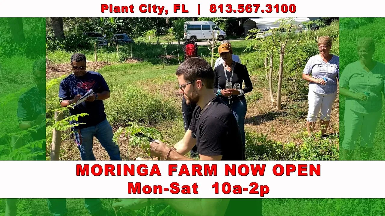 Moringa Farm Now Open Mon-Sat 10a-2p Plant City, FL | Meet Your Moringa Farmer