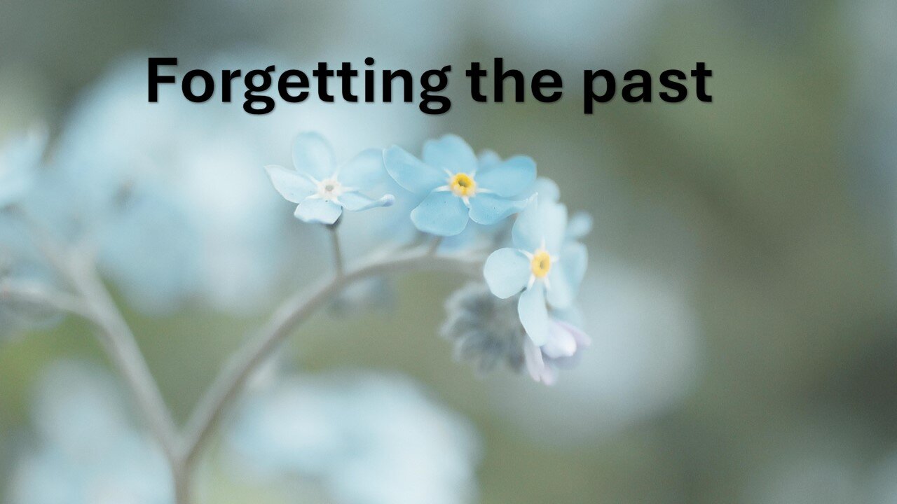 Sermon Only | Forgetting the past | November 13, 2024