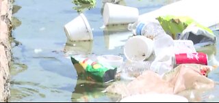 Fishing lines and hooks threaten wildlife at Sunset Park in Las Vegas