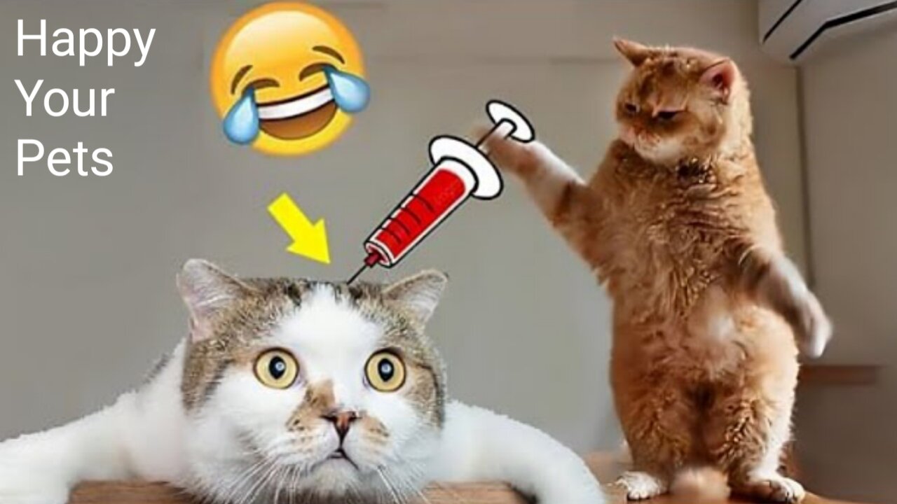 Funny Animals 2024 😂 Cute Cat And Dog Funny Videos 😸 Part 139