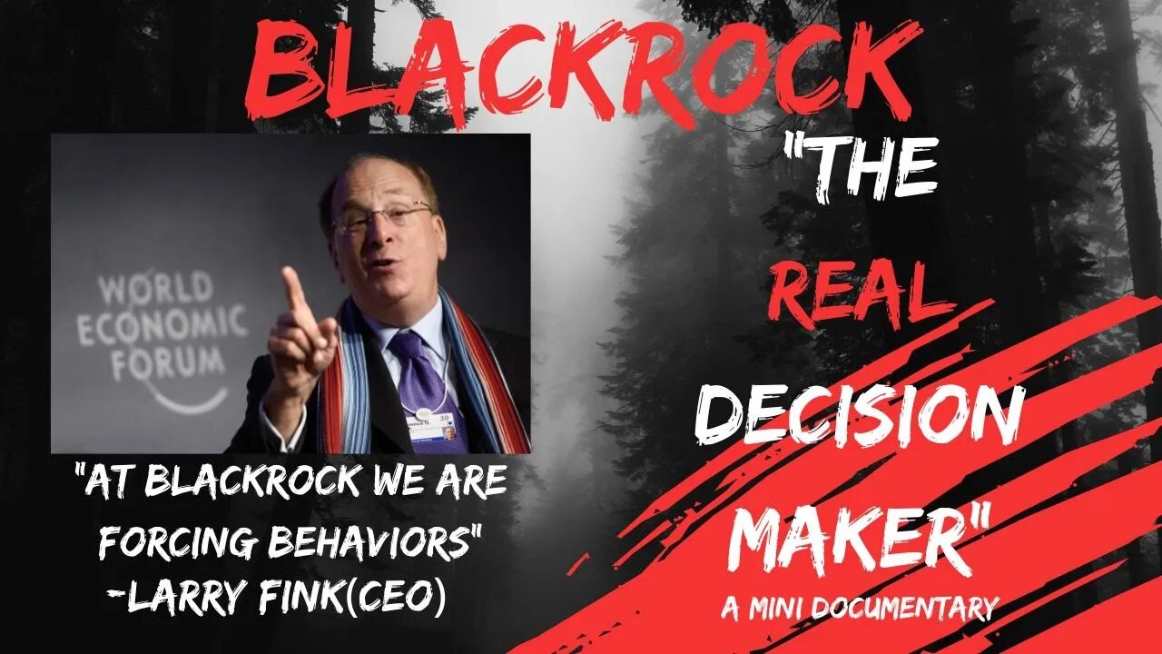 Blackrock The Real decision maker A mini documentary that showcases Blackrock evil Intent