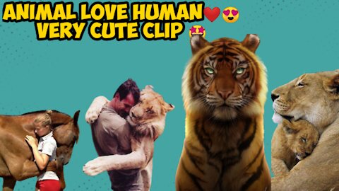 Animal Love Human Cute Clip 🤩❤ - Animalstudio01