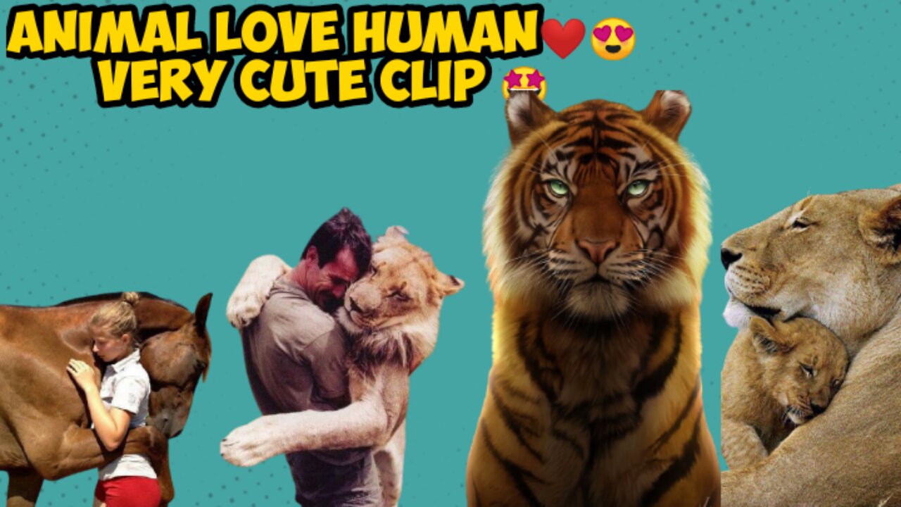 Animal Love Human Cute Clip 🤩❤ - Animalstudio01