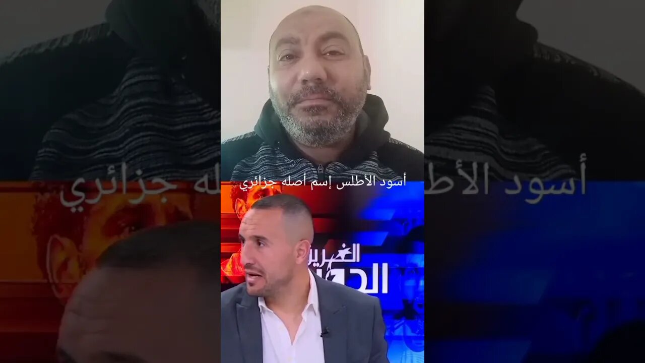 أسود الأطلس إسم أصله جزائري 🇩🇿 | ونحن احق بهذا الاسم 🤣