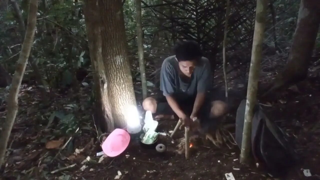 solo survival __ membangun shelter, masak, makan,eksplor, dan tidur nyenyak di hutan _24