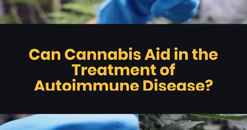 Can Cannabis Aid in the Treatment of Autoimmune Disease?