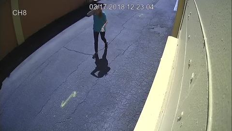 Surveillance Video 1: Suspects sought in fatal pedestrian accident on Hillsborough Avenue