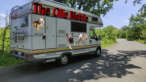 Ollie' and Yoda's going to the beach with the Ollie Mobile