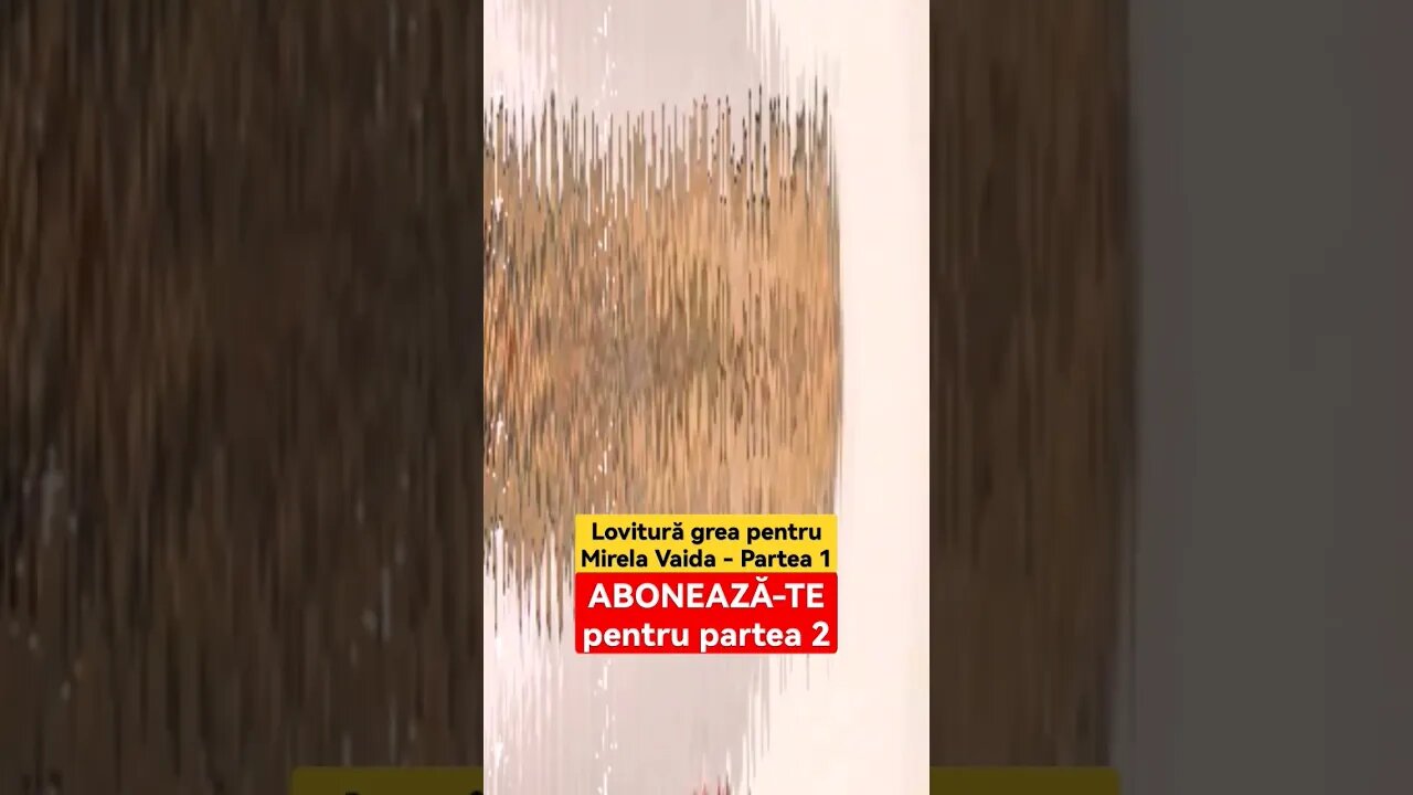 Lovitură grea pentru Mirela Vaida - Partea 1
