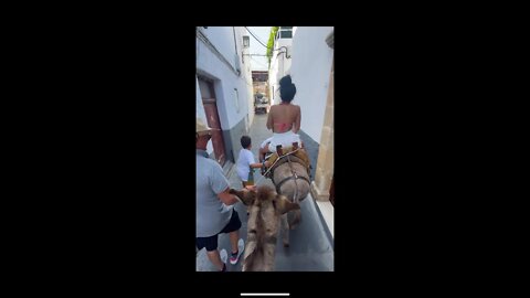 Kid Hitting On my Girlfriend using Donkey 😅