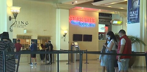 American Red Cross, Shark Reef team up for blood drive