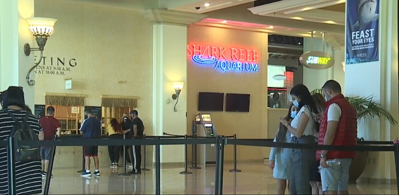 American Red Cross, Shark Reef team up for blood drive