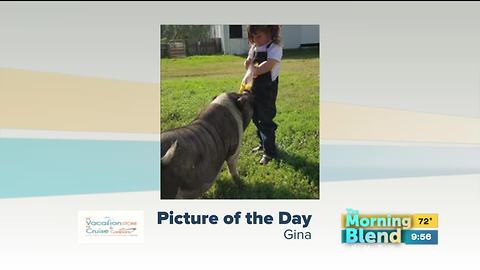 Thursday's Picture of the Day
