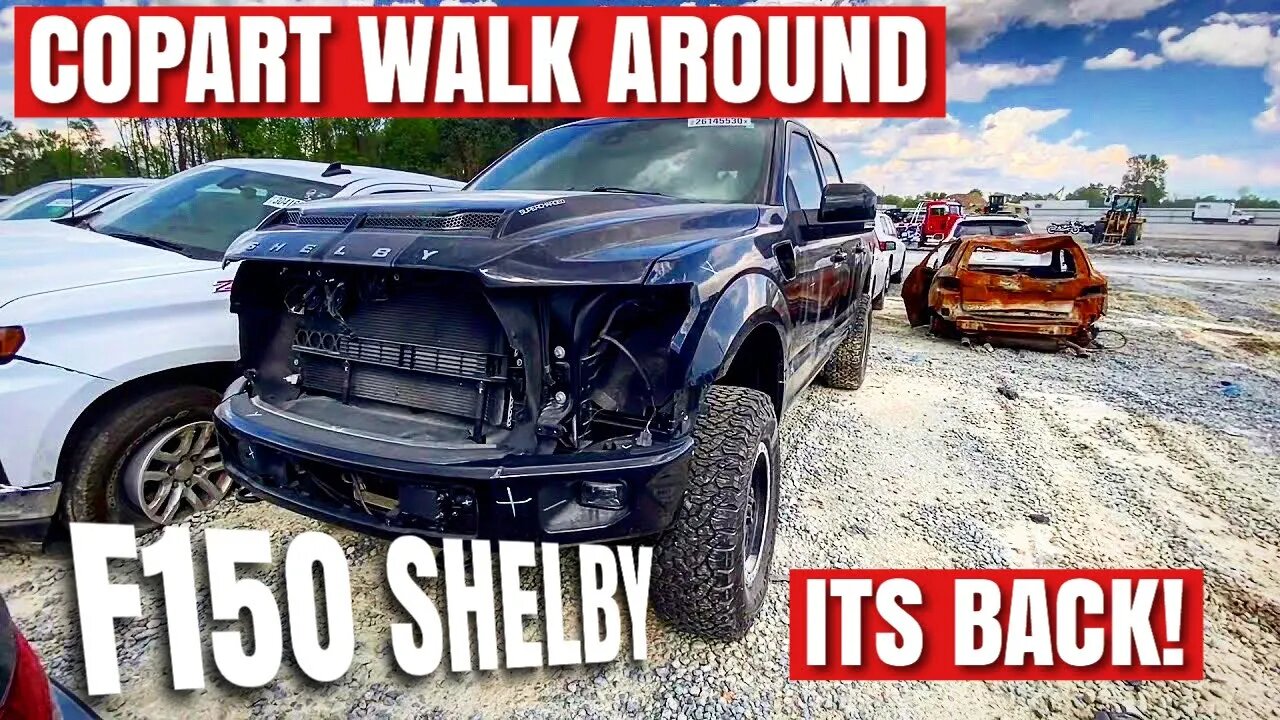 Copart Walk Around Shelby F150, And Mamba is Broken