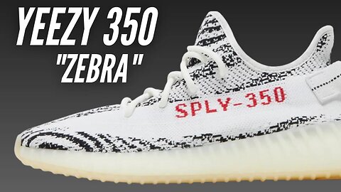 Yeezy 350 "Zebra" Unboxing & Review