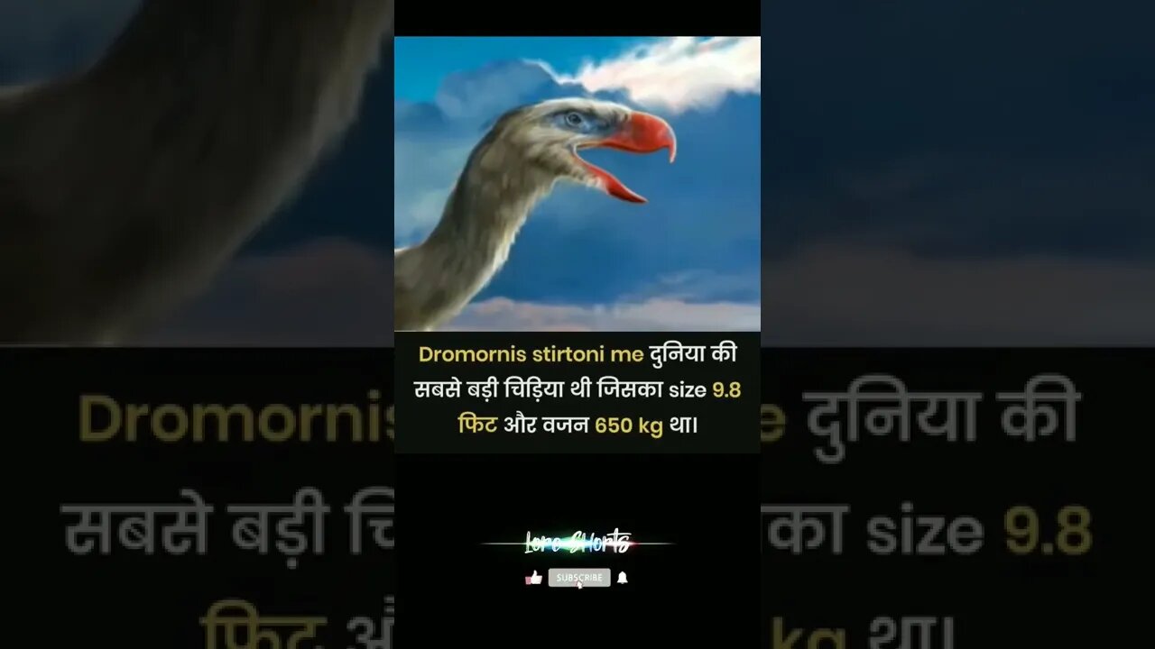 intresting facts about Dromornis stirtoni #loreshorts #shorts