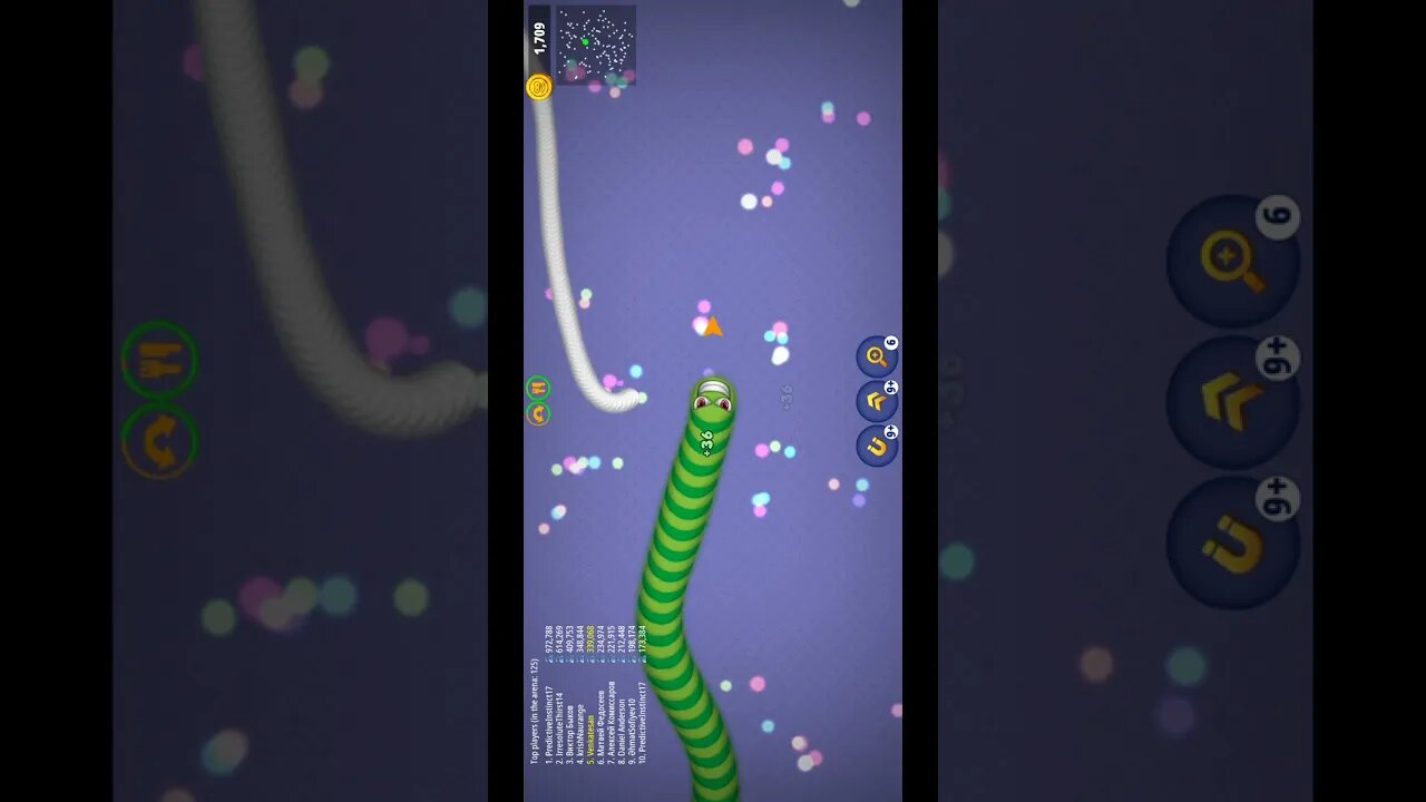 Shorts CASUAL AZUR GAMES Worms Zone .io - Hungry Snake 55-280