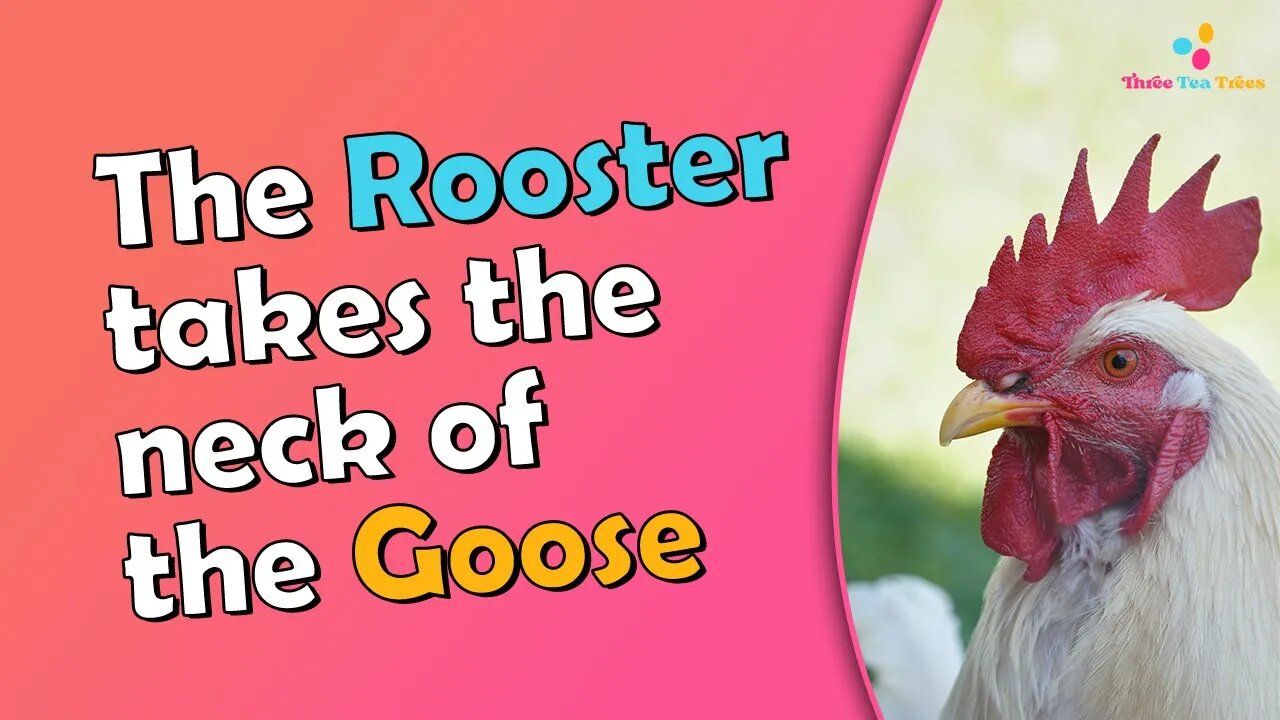 POU! the mighty cock of the roost puts his head on the goose's neck and hilarity ensues