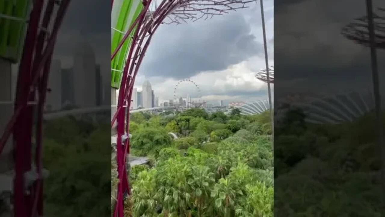 #shorts #singapore #gardensbythebay #crypto #invest #travel