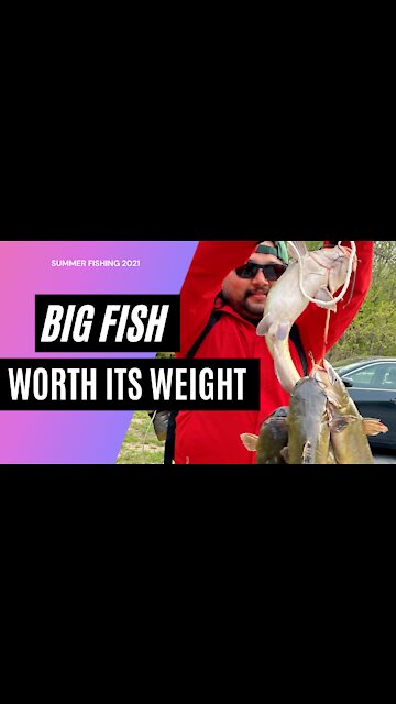 Fishing for GIANT CATFISH !!!! Catching Fish Is Difficult ~ 2021 Spring