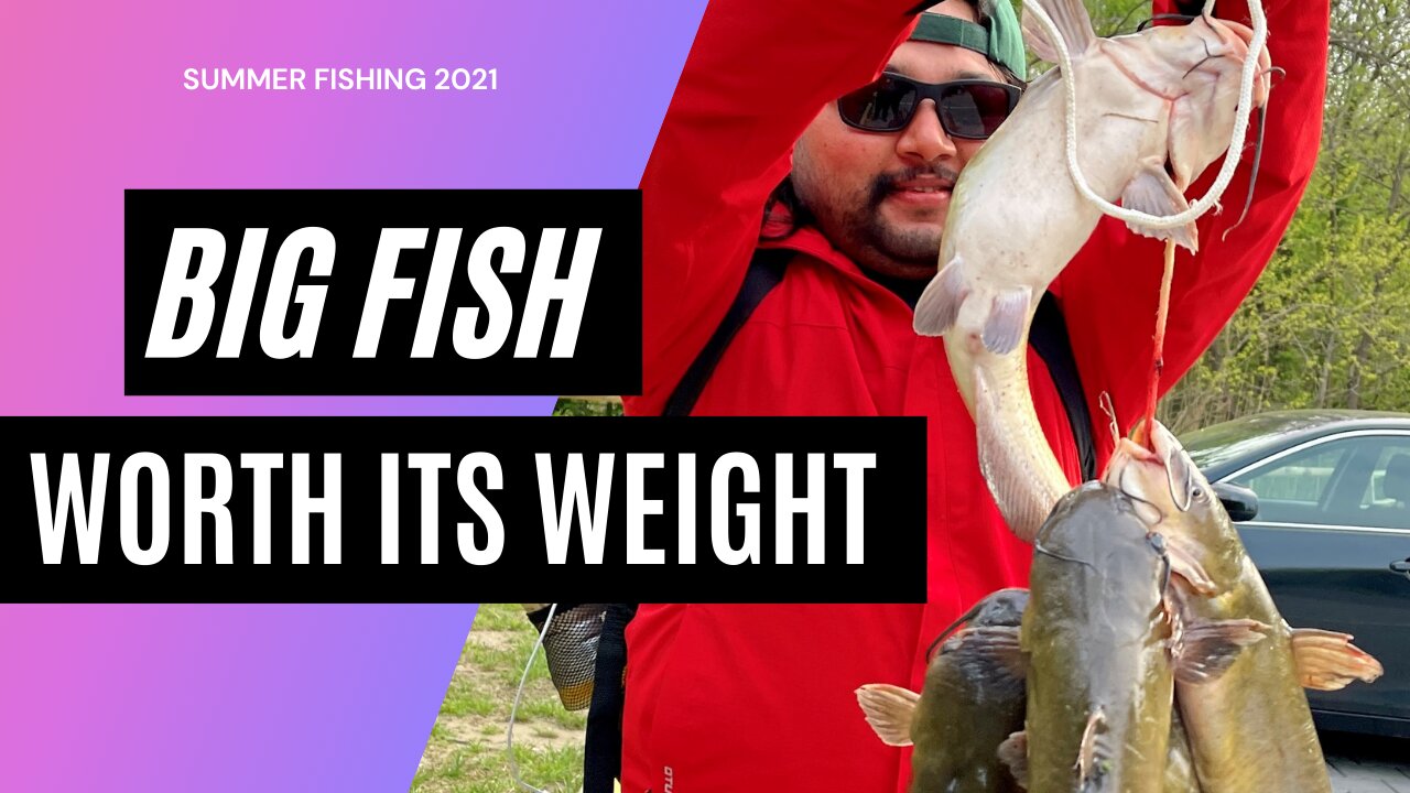 Fishing for GIANT CATFISH !!!! Catching Fish Is Difficult ~ 2021 Spring