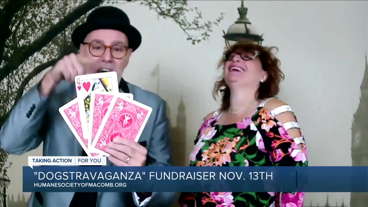 Getting Ready for Dogstravaganza with The Magic Soiree