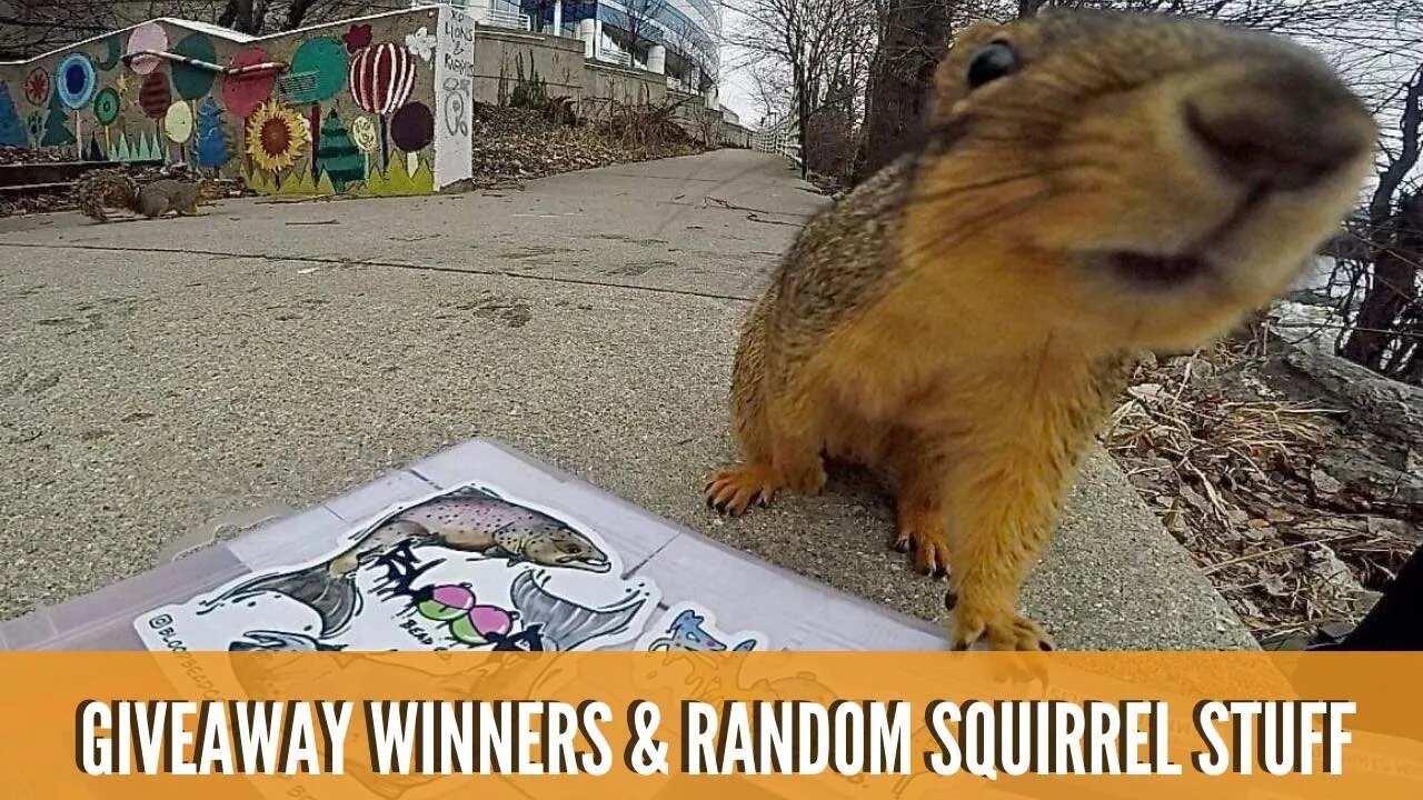 2k Subscriber Giveaway Winners!! + Bonus Giveaway From Grizzly Creek Lures + Random Squirrel Stuff