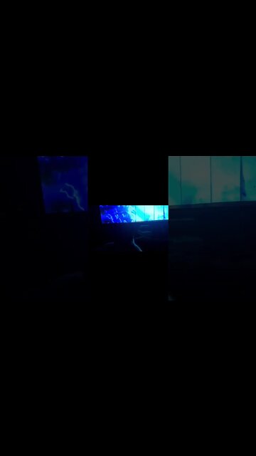 My Cat Watching The Flash on Cinema | Meu Gato Assistindo The Flash no Cinema #Flash #cat #funny