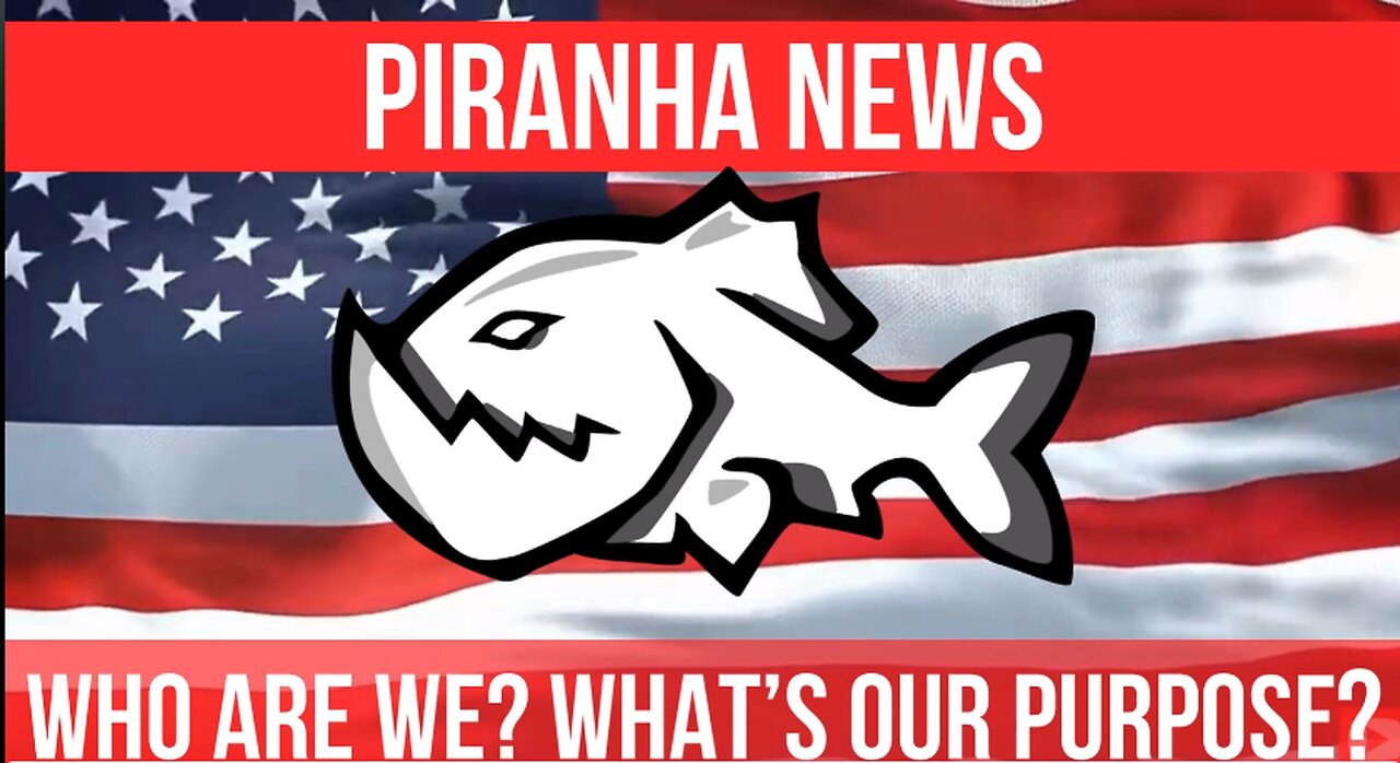 PIRANHA NEWS INTRO VIDEO