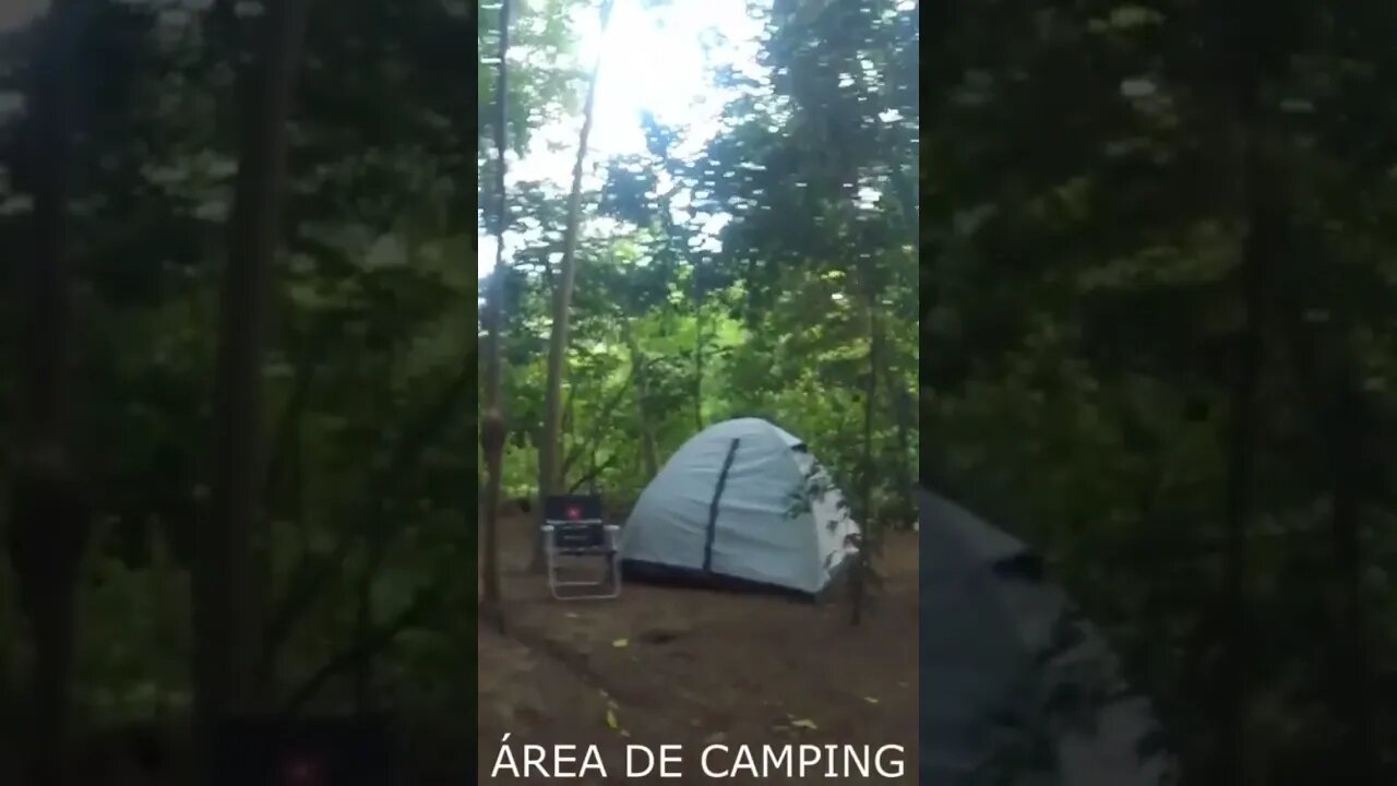 MUITA SOMBRA NA AREA DE CAMPING DO MAZZURANA EM RIOZINHO RS #camping #acampamento #tendeuecoisarada