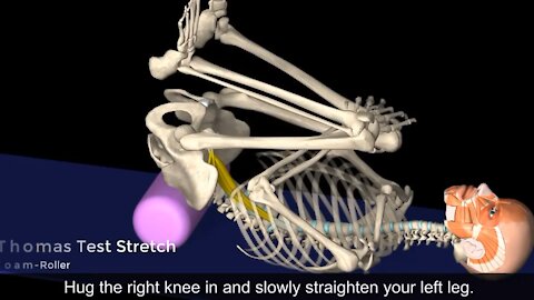 hip flexor exercise