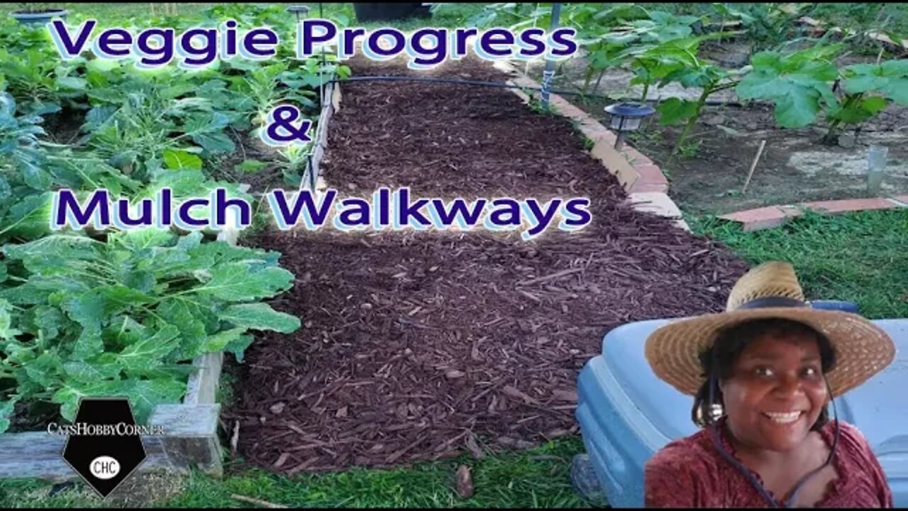 Veggie Progress & Mulch Walkways - 10Jul2022