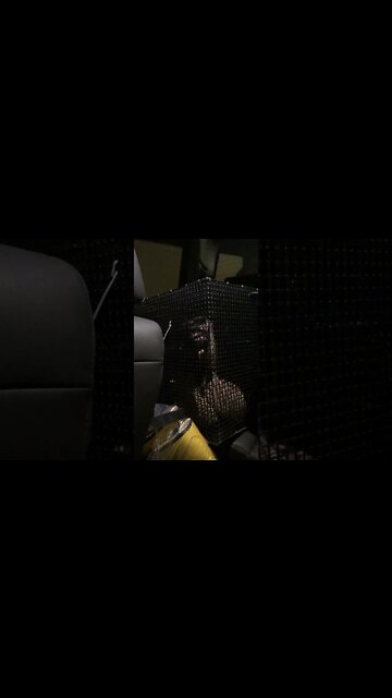 Hey guys so tonight we went out for a snack! Well we went out for ice cream #Shorts